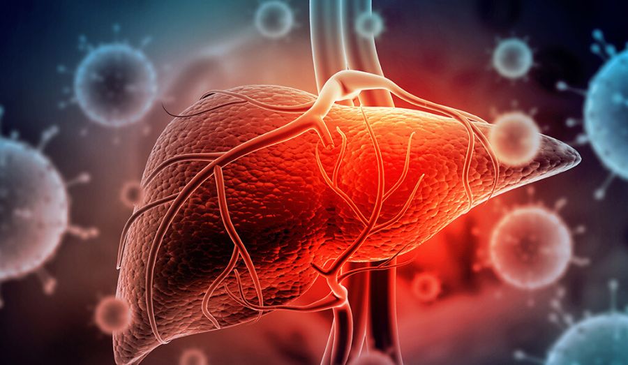 Postmenopausal Women are at Higher Risk for Developing Chronic NAFLD, Study Suggests